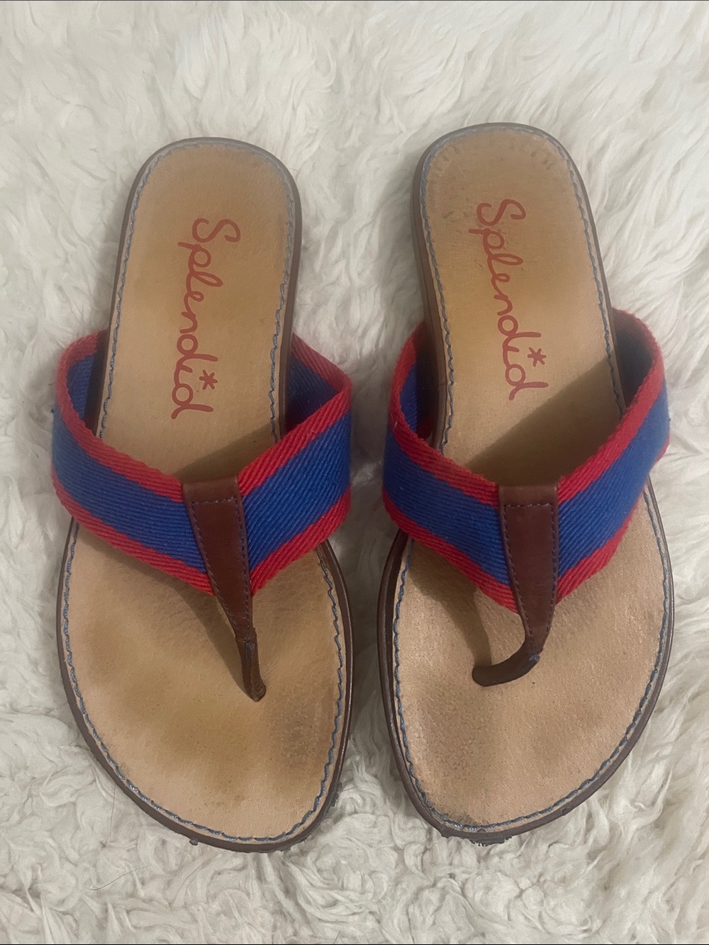 Splendid Blue & Red Striped Thong Sandals